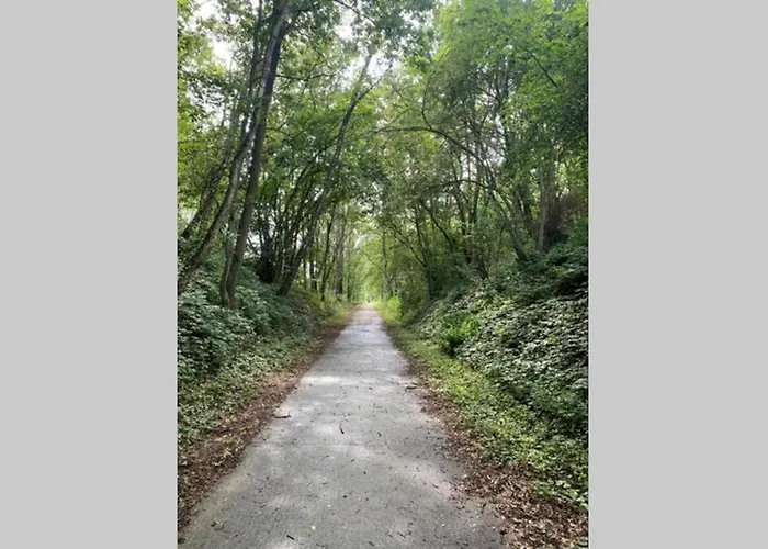 Au Petit Ravel Loft Cosy Au Coeur De La Nature Apartment